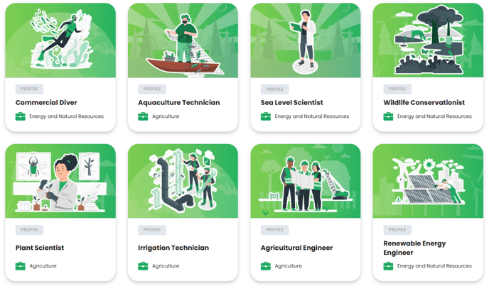 career profile library
